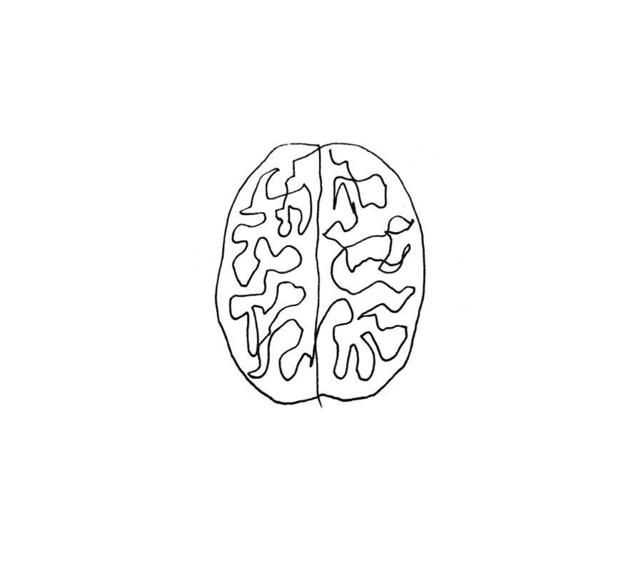 Image of Brain Drawing